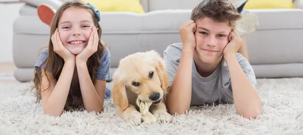StainMaster Pet Protect carpet stress less pets Pride Floors