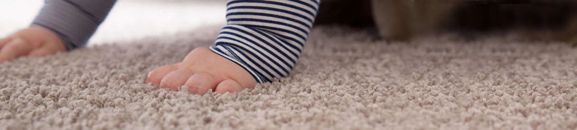 Gorgeous carpeting San Antonio home Pride Floors