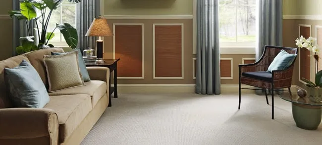 STAINMASTER carpet love Pride Floors