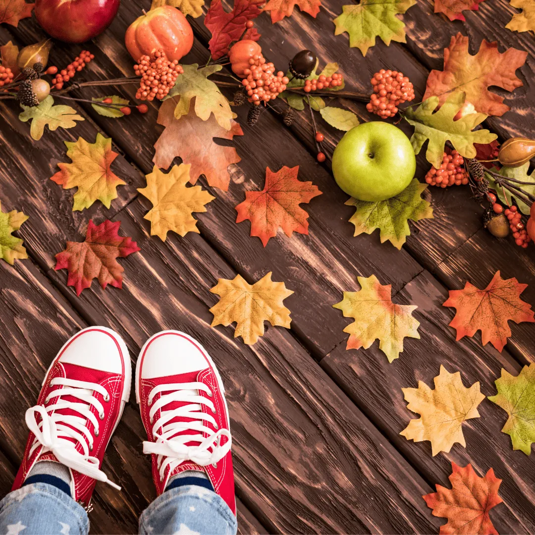 Durable dark hardwood flooring with fall decor for Thanksgiving gatherings in San Antonio