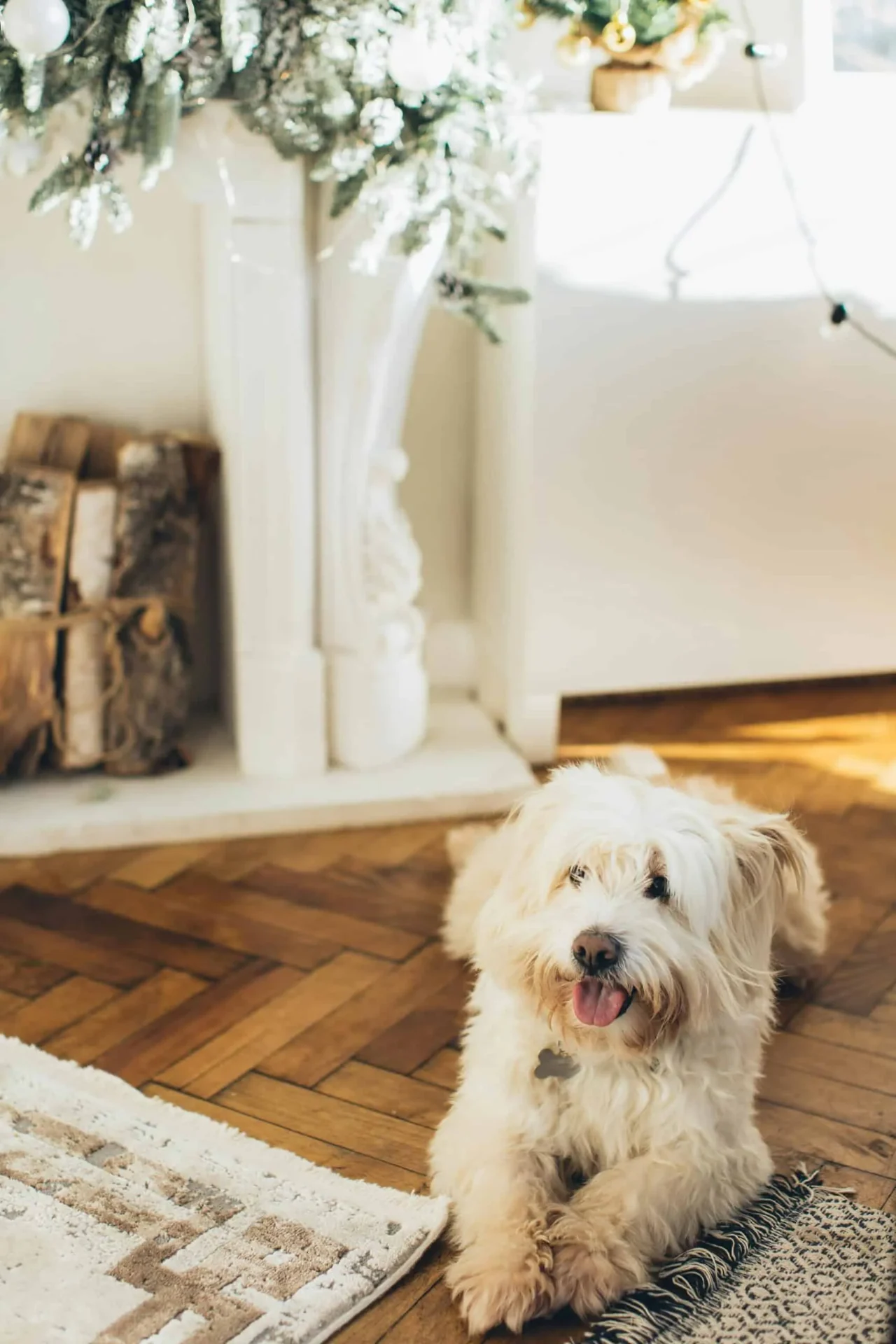 Pet-friendly herringbone hardwood flooring in cozy San Antonio winter living room