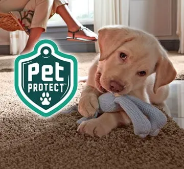 STAINMASTER Pet Protect carpet reduce stress Pride Floors